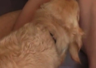ionate lovers are sharing a skillful pet