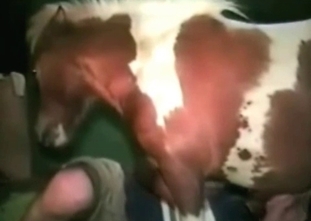 Lovely babe can't stop riding a stallion's aggregate