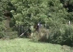 Hardcore closeness with a massive horse