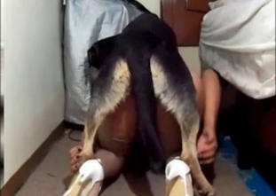 This zoophile wants to bang his puppy