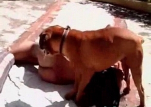 Watch a zoophile giving a blowjob to a beast