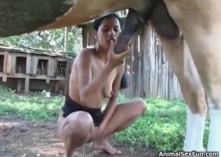 Awesome stallion is getting its dick sucked wildly