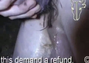 Man with hairy ass got nailed by big animal