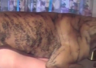 Sensational fuck with a hound